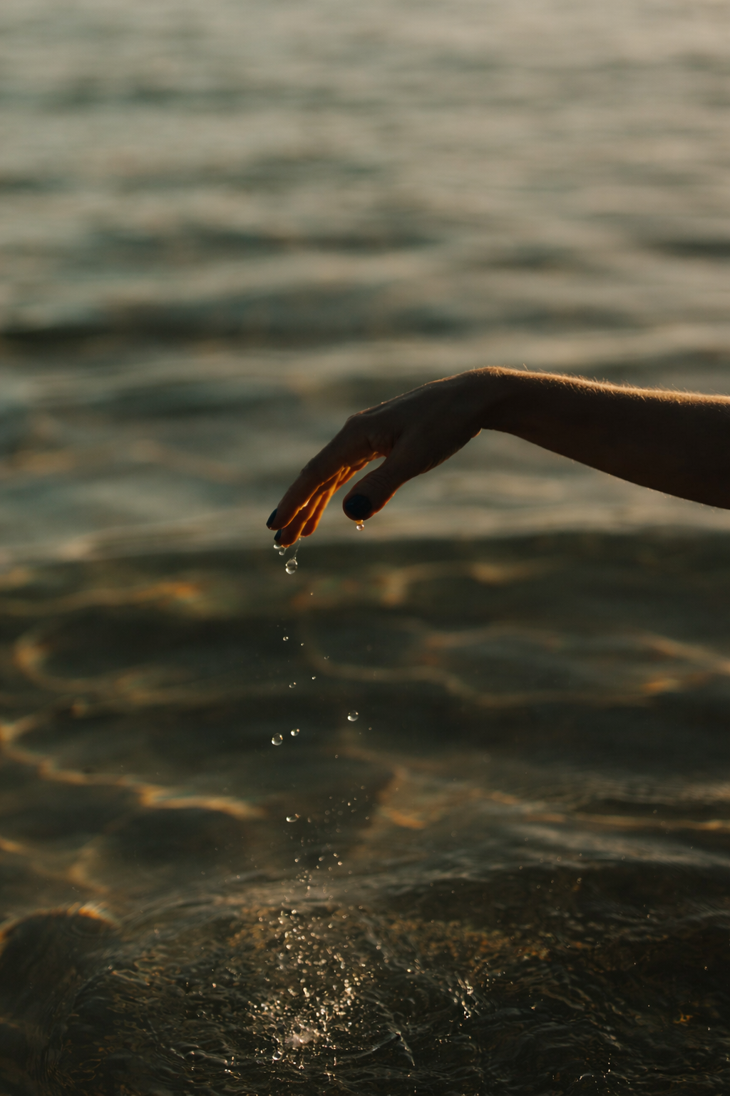 Aliments essentiels : les facteurs liés au mode de vie qui régulent les hormones, l'inflammation et la santé métabolique