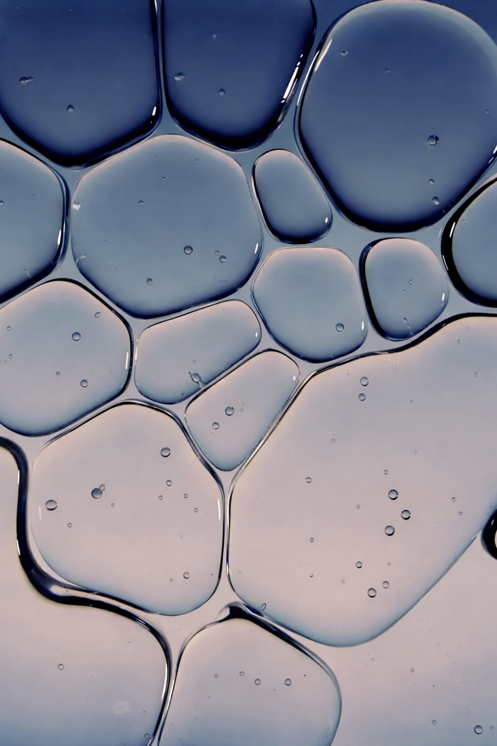 Soutenir les mécanismes naturels de détoxification de l'organisme : une perspective axée sur la longévité