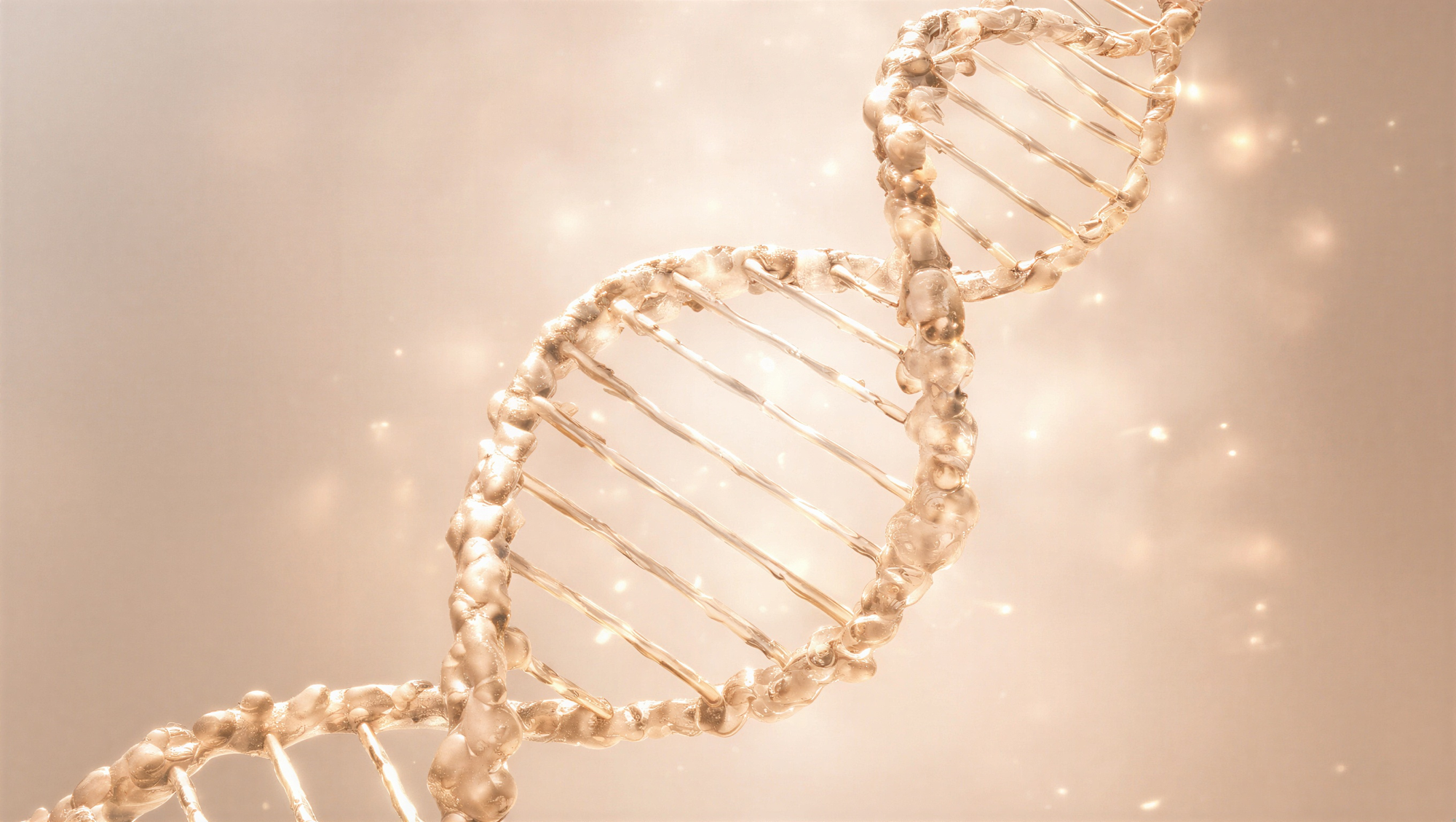Accompagnement en matière d'optimisation de la santé pour les cliniques et les patients, Global Glow
